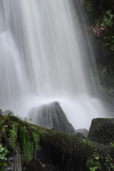 DSC_8374_resize.JPG
