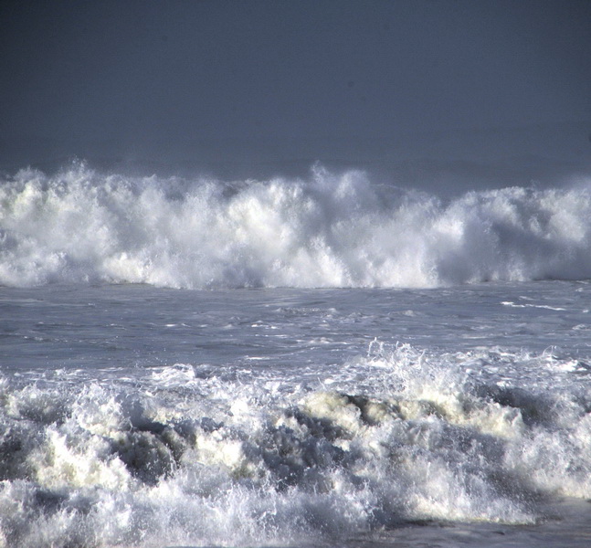 DSC_7577_resize.JPG