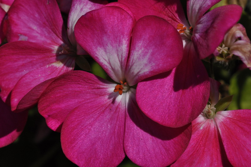 _DSC0006_resize.JPG