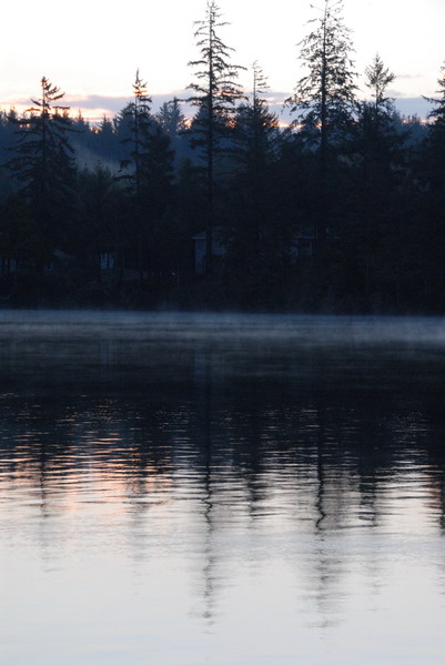 DSC_2739_resize.JPG