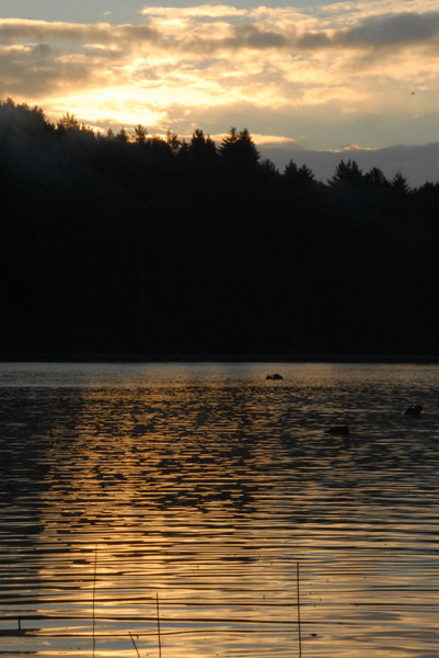 DSC_2756_resize.JPG