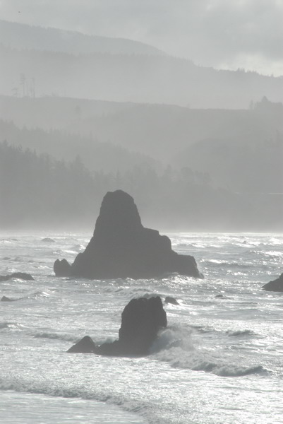 DSC_2804_resize.JPG