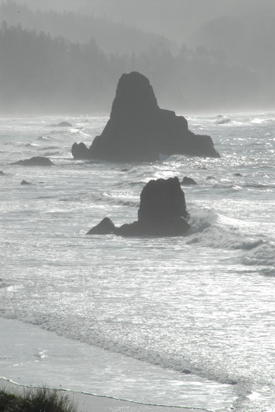 DSC_2806_resize.JPG