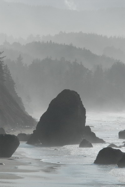 DSC_2815_resize.JPG