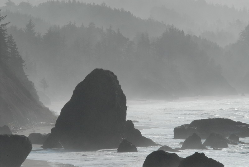 DSC_2818_resize.JPG