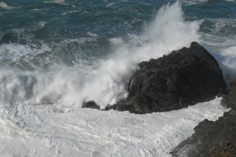 DSC_2887_resize.JPG