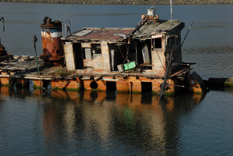 DSC_2969_resize.JPG