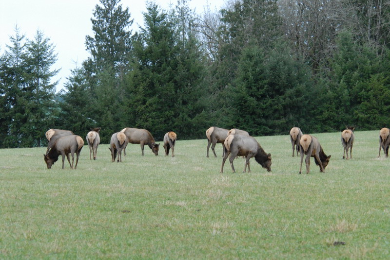 DSC_3559_resize.JPG