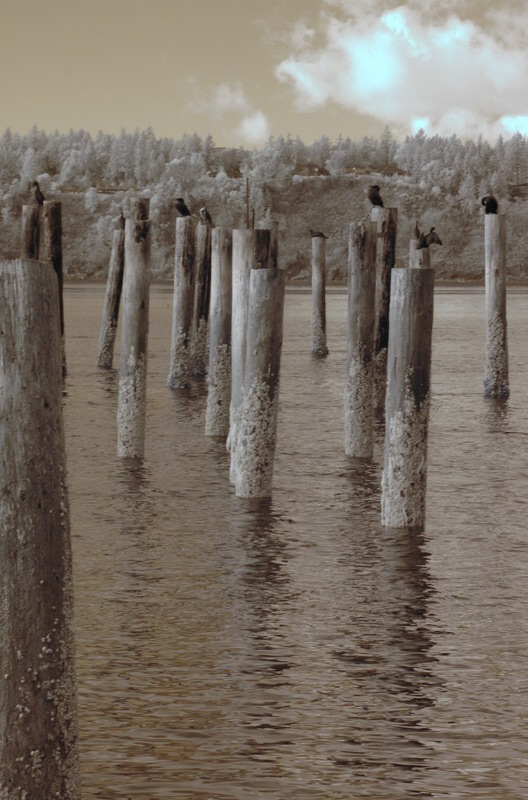 DSC_1025a_resize.jpg