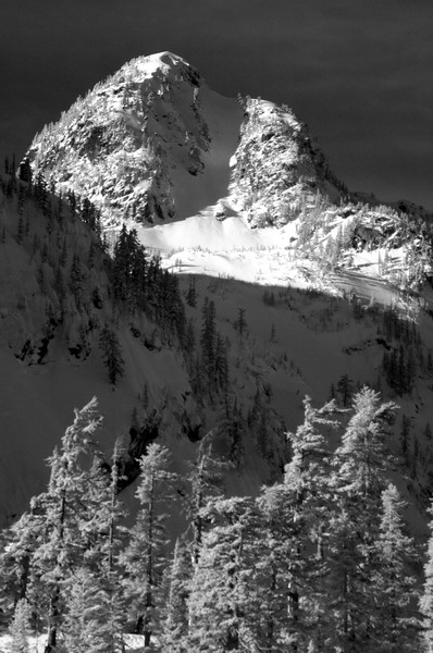 DSC_1167_resize.jpg