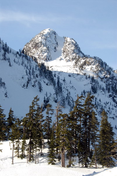 DSC_4195_resize.jpg