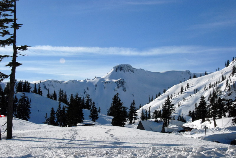 DSC_4200_resize.jpg