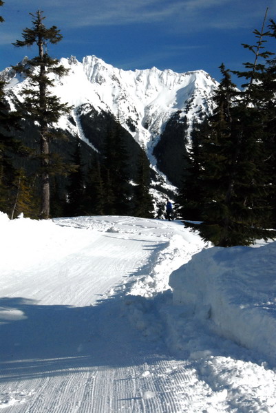 DSC_4204_resize.jpg