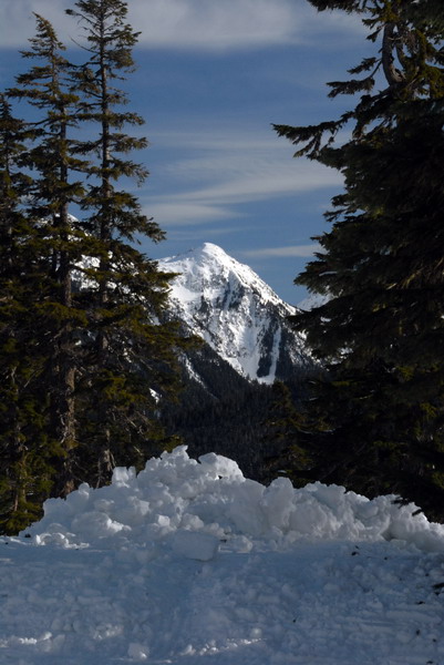 DSC_4205_resize.jpg