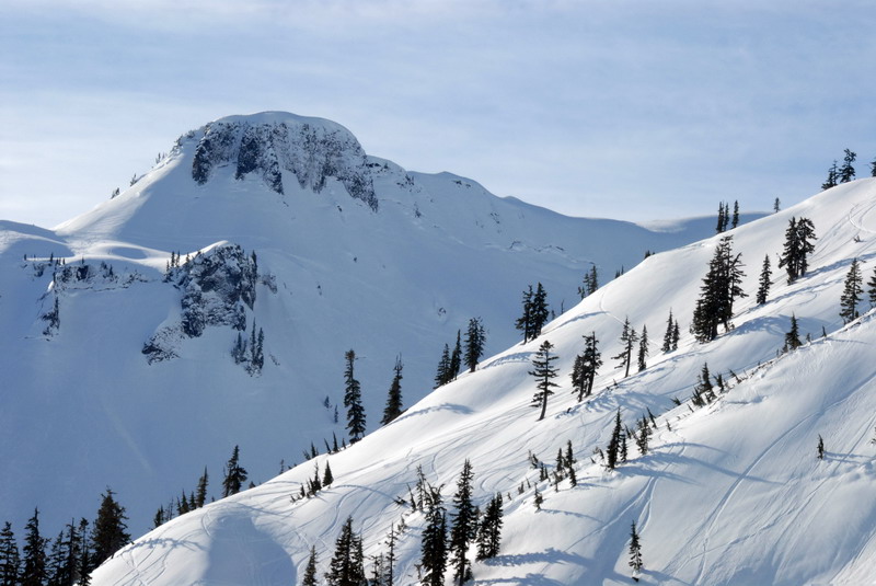 DSC_4208_resize.jpg