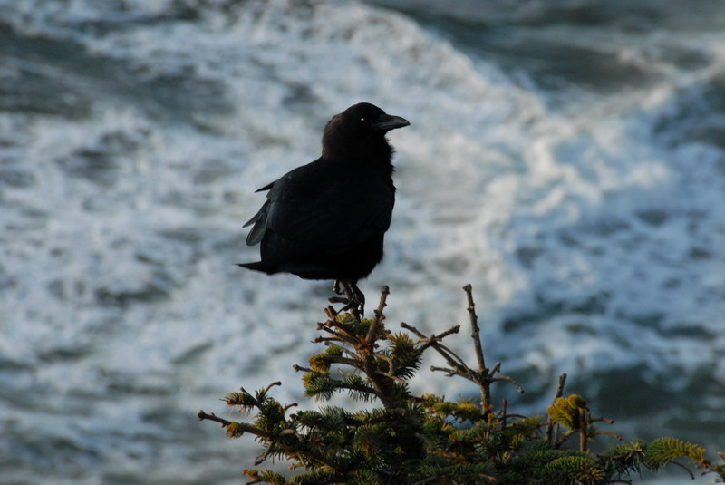 DSC_4751_resize.JPG