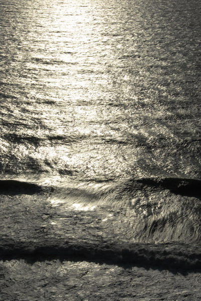 DSC_4714_resize.JPG