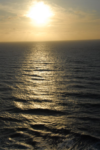 DSC_4794_resize.JPG