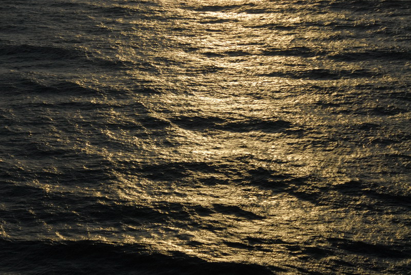 DSC_4795_resize.JPG