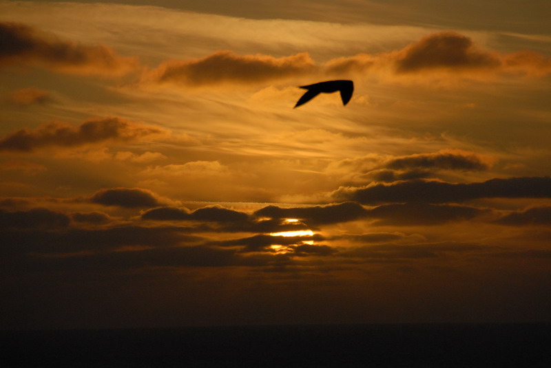 DSC_4842_resize.JPG