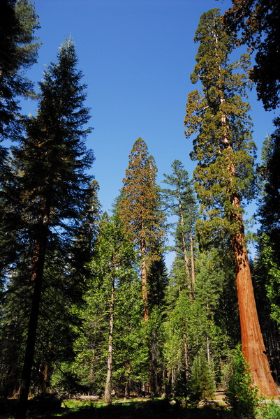 DSC_5946_resize.JPG