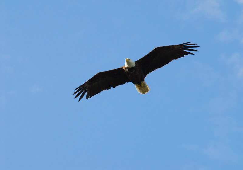DSC_7539_resize.JPG