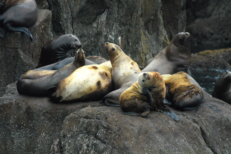 DSC_7725_resize.JPG