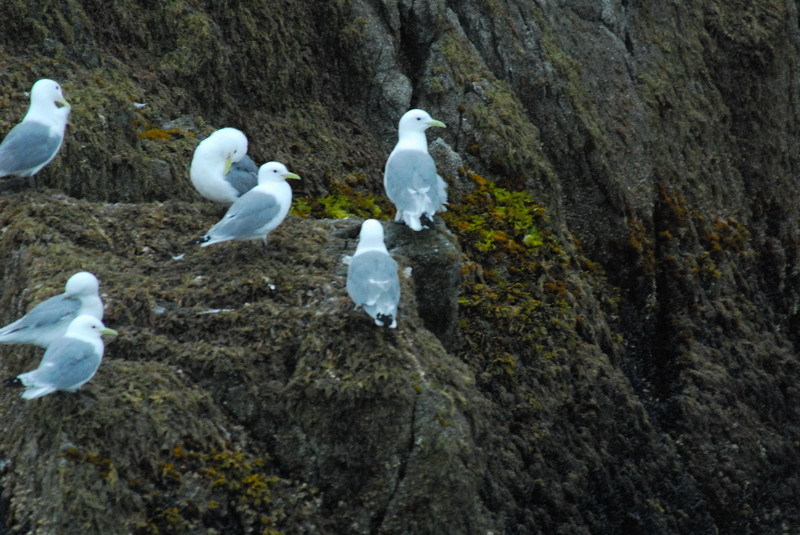DSC_7747_resize.JPG
