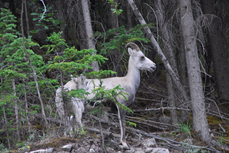 DSC_8281_resize.JPG