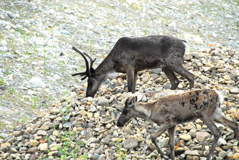 DSC_8305_resize.JPG