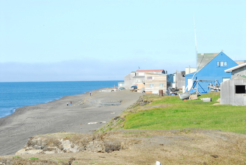 DSC_6317_resize.JPG
