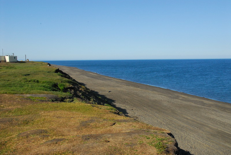 DSC_6369_resize.JPG