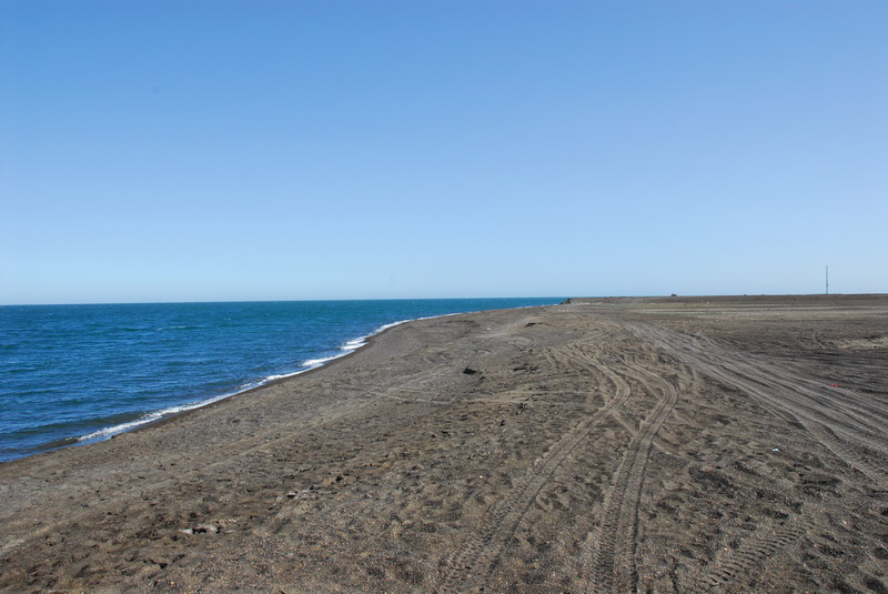 DSC_6438_resize.JPG