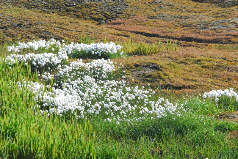 DSC_6350_resize.JPG