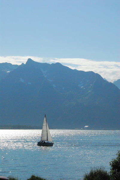 DSC_7262_resize.JPG