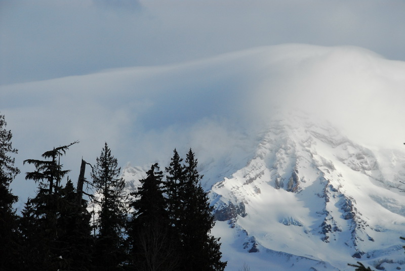 DSC_0674_resize.JPG
