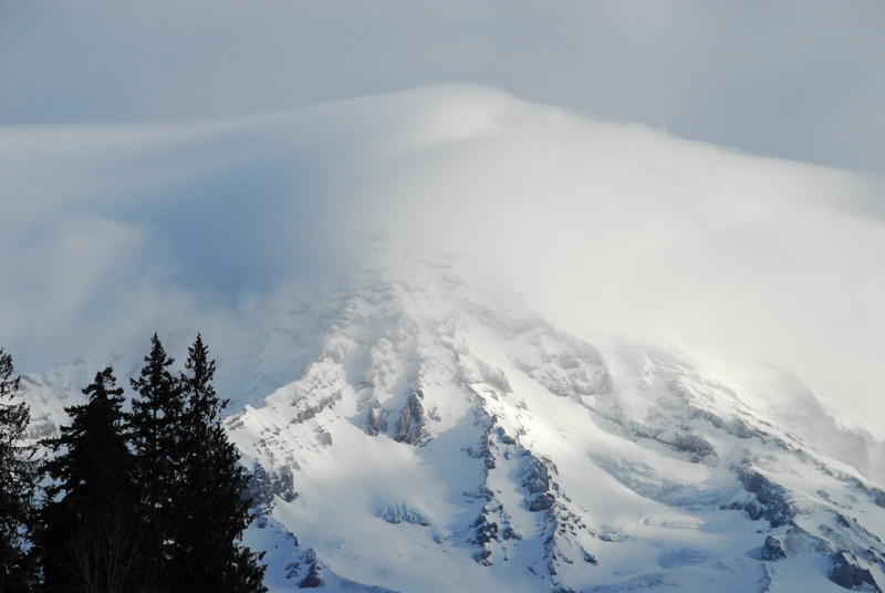 DSC_0677_resize.JPG