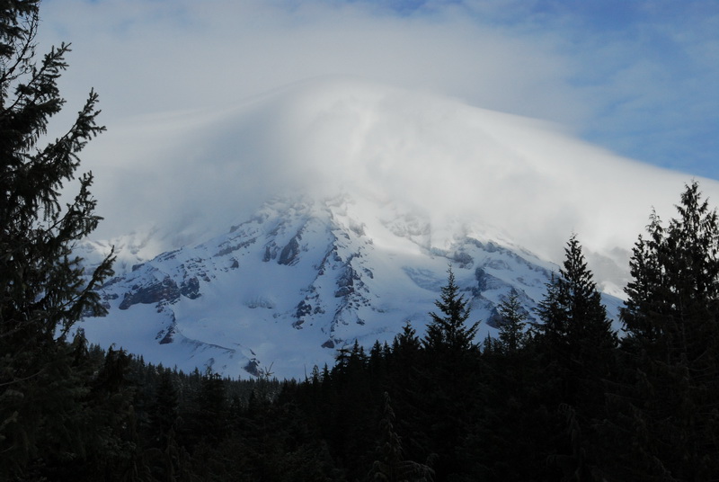 DSC_0724_resize.JPG