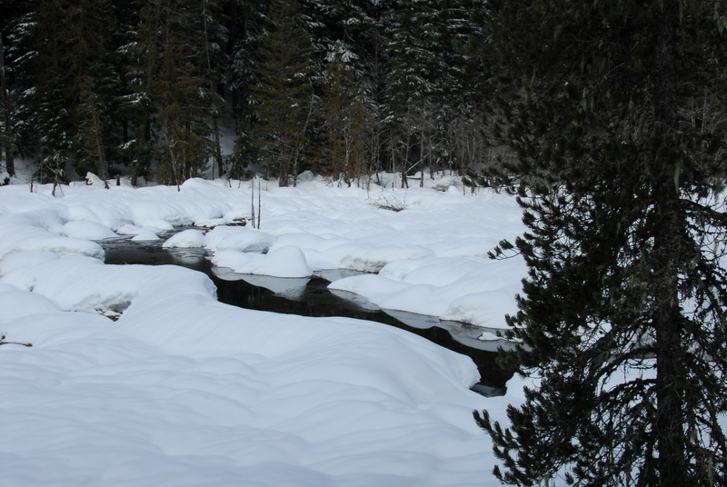 DSC_0727_resize.JPG