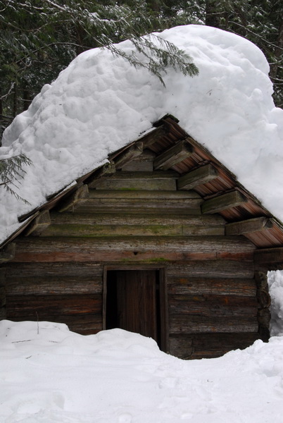 DSC_0786_resize.JPG