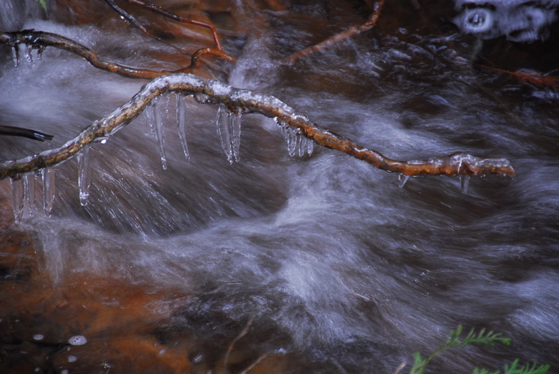 DSC_0776_resize.JPG