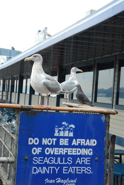 DSC_0451_resize.JPG