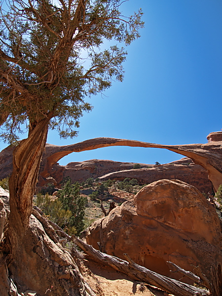 Landscape Arch