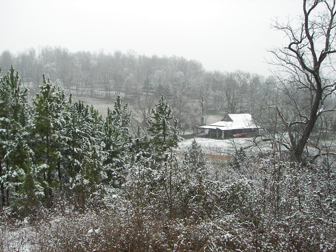 St. Pats Day Snow 07 014.jpg