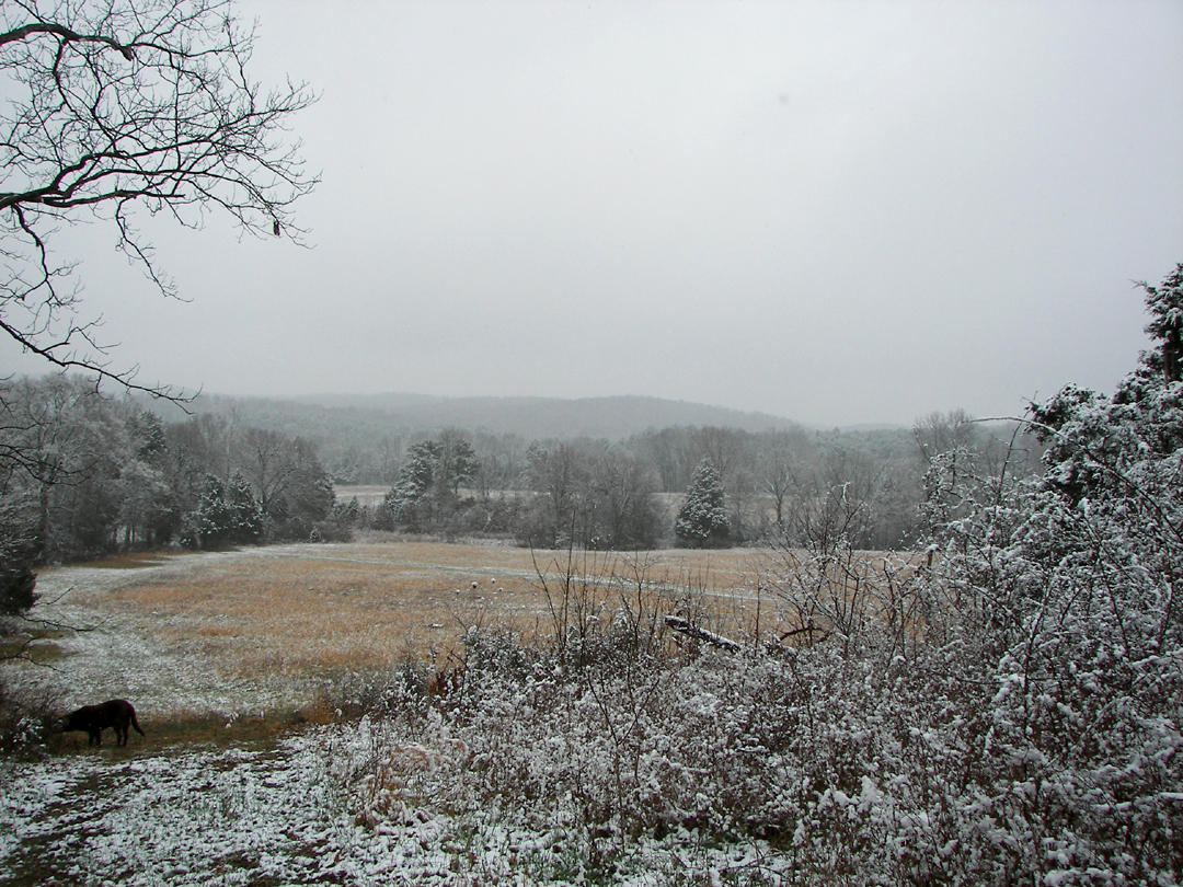 St. Pats Day Snow 07 017.jpg