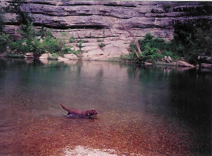 Zach swimming in Buffalo.jpg