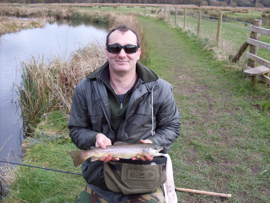 Brown Trout