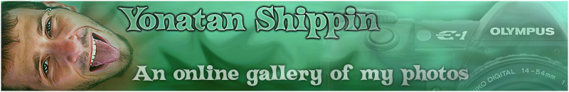 Jonathan Shippin Photo Gallery