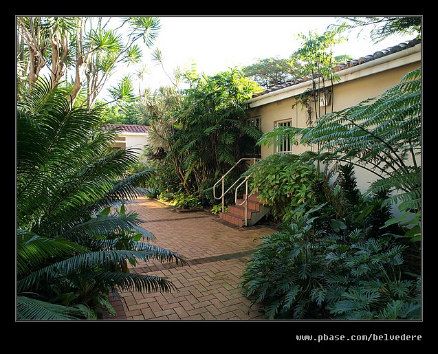 Botanic Garden #01, Durban, KZN, South Africa