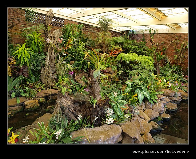Botanic Garden #18, Durban, KZN, South Africa
